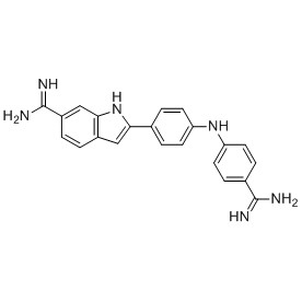 Rhif CAS Synucleozid:502139-01-7